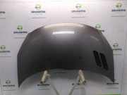 Motorhaube 7901Q9 Peugeot 206+ (2L/M) Schrägheck 1.4 XS (TU3A(KFV)) 2009-04