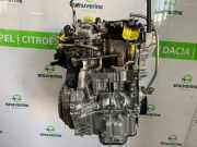 Motor 8201733029 Renault Clio V (RJAB) Schrägheck 5-drs 1.0 TCe 90 12V (H4D-470(H4D-E4)) 2024