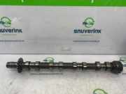 Nockenwelle 9683073880 Peugeot Expert (G9) Van 2.0 HDiF 16V 130 (RH02) 2016-01