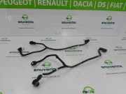 Parken-Sensoren 284420026R Nissan Primastar Van 2.0 dCi 90 (M9R-692(M9R-F6)) 2014-03