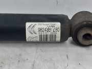 Stoßdämpfer Rechts Hinten 9824997280 Citroën C3 (SX/SW) Schrägheck 1.2 12V e-THP PureTech 110 (EB2ADT(HNP)) 2019-03