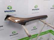 A Säule Verkleidung Links 768359789R Renault Grand Scénic III (JZ) Großraumlimousine 1.4 16V TCe 130 (H4J-A700) 2009-05