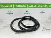 Türgummis Links Vorne 9673084680 Peugeot 208 I (CA/CC/CK/CL) Schrägheck 1.2 Vti 12V PureTech 82 (EB2F(HMZ)) 2013-04