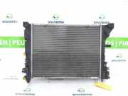 Radiator 214104950R Renault Zoé (AG) Schrägheck 5-drs 60kW (5AM B4) 2013-06