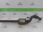 Auspuff Mitteltopf 1369965080 Fiat Ducato (250) Van 2.3 D 120 Multijet (F1AGL4114) 2011-03