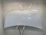 Motorhaube 651009963R Renault Master III (FV) Van 2.3 dCi 125 16V FWD (M9T-882) 2019-05
