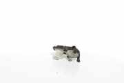 Thermostatgehäuse 9803549480 Peugeot 308 SW (L4/L9/LC/LJ/LR) Kombi 5-drs 1.6 BlueHDi 120 (DV6FC(BHZ)) 2015-12