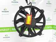 Kühlerventilatormotor 1253K2 Citroën Berlingo (7A/7B/GB/GF/GG/GJ/GK/GN) Van 1.6 Hdi 16V 75 (DV6TED4(9HT)) 2011-04