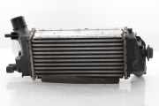 Ladeluftkühler L1BG6D624AB Ford Puma SUV 1.0 Ti-VCT EcoBoost mHEV 12V (B7JB) 2021