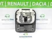 Innenbeleuchtung Vorne 7701054339 Nissan Interstar (X70) Van 2.2 dCi 16V (G9T-722) 2003-01