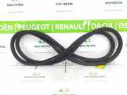 Türgummis Rechts 9806514880 Peugeot Expert (V1/VA/VB/VE/VF/VT/VY) Van 1.5 BlueHDi 120 (DV5RUC(YHV)) 2019-10