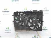 Kühlerventilatormotor 1250H4 Peugeot Boxer (U9) Van 2.2 HDi 100 Euro 4 (22DT(4HV)) 2007-03