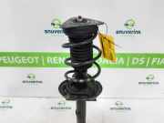 Federbein Rechts Vorne 543025200R Renault Megane IV Estate (RFBK) Kombi 5-drs 1.2 Energy TCE 100 (H5F-408(H5F-F4)) 2017-05