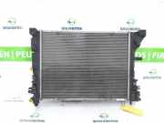 Radiator 214104950R Renault Zoé (AG) Schrägheck 60kW (5AM B4) 2013-06