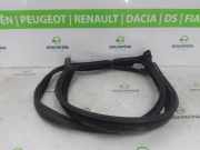 Türgummis Rechts Vorne 109050000L Tesla Model 3 Limousine Long Range, Performance AWD (3D1) 2021-09