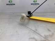 Camera Hinten 284420025R Renault Scénic III (JZ) Großraumlimousine 1.5 dCi 110 (K9K-657) 2013-06