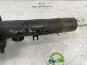 Federbein Links Vorne 9827238980 Citroën C3 Aircross I (2C/2R) SUV 1.2 e-THP PureTech 110 (EB2ADT(HNP)) 2019-12