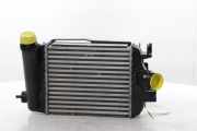 Ladeluftkühler 144966668R Renault Captur II (RJB) SUV 1.0 TCe 90 12V (H4D-E4) 2021-04