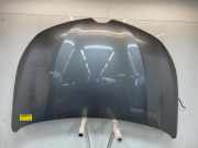 Motorhaube 651003246R Renault Clio V (RJAB) Schrägheck 5-drs 1.0 TCe 90 12V (H4D-470(H4D-E4)) 2023-06