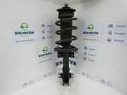 Federbein Rechts Vorne 543029774R Renault Master III (FV) Van 2.3 dCi 125 16V FWD (M9T-670(Euro 5)) 2014-04