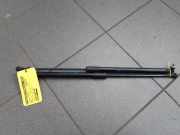 Gasdruckfedern Set Hinten 904511213R Renault Megane IV Estate (RFBK) Kombi 5-drs 1.5 Energy dCi 110 (K9K-656/657) 2016-12