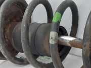 Federbein Rechts Vorne 5202J2 Fiat Ducato (243/244/245) Van 2.8 JTD (8140.43S) 2006-02