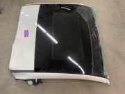 Panoramadach 77364621 Fiat 500 (312) Schr?gheck 1.2 (169.A.4000(Euro 5)) 2011-03