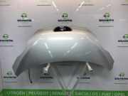 Motorhaube 7901L7 Peugeot 107 Schrägheck 1.4 HDI (DV4TD(8HT)) 2006-04