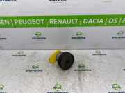 Servolenkung Pumpe 491108721R Renault Laguna III (BT) Schrägheck 2.0 dCi 16V 150 (M9R-740) 2008-01