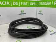 Türgummis Links Vorne 9673084680 Peugeot 2008 (CU) Großraumlimousine 1.2 Vti 12V PureTech 82 (EB2F(HMZ)) 2013-11