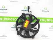 Kühlerventilatormotor 1253K2 Citroën Berlingo (7A/7B/GB/GF/GG/GJ/GK/GN) Van 1.6 Hdi 16V 75 (DV6TED4(9HT)) 2011-04