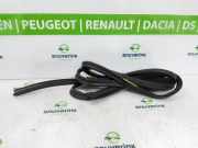 Heckklappe Gummi 8200425640 Renault Kangoo Express (FW) Van 1.5 dCi 75 (K9K-628(K9K-E6)) 2017-11
