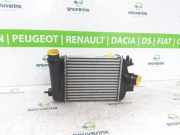 Ladeluftkühler 144961019R Renault Captur II (RJB) SUV 1.3 Mild Hybrid 140, TCe 140 16V (H5H-490(H5H-E4)) 2021-06