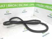 Türgummis Links Vorne 9823214980 Peugeot 208 II (UB/UH/UP) Schrägheck 5-drs e-208 (A0001E2Ge-208) 2020-09