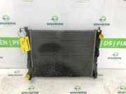 Radiator 8200369307 Renault Twingo II (CN) Schrägheck 3-drs 1.2 16V (D4F-770) 2013-02