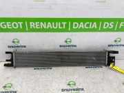Ladeluftkühler 214606085R Dacia Duster (DJF) SUV 1.2 TCE 130 12V Mild Hybrid 4x2 (H5F-A6) 2024-11