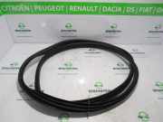 Türgummis Links Hinten RENAULT Renault Zoé (AG) Schrägheck 5-drs R110 (5AQ-607) 2019-11
