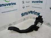 Gaspedal 9671433780 Citroën C3 (SC) Schrägheck 1.2 PureTech 12V (A0001E1N1.2 PureTech 12V) 2013-12