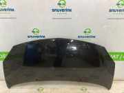 Motorhaube 7751477649 Renault Twingo II (CN) Schrägheck 3-drs 1.2 16V (D4F-770) 2013-02