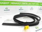 Türgummis Links 8200638077 Renault Twingo II (CN) Schrägheck 1.5 dCi 90 (K9K-P8) 2011-04