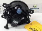 Nebelscheinwerfer Links Vorne 261500097R Renault Clio IV (5R) Schr?gheck 5-drs 0.9 Energy TCE 90 12V (H4B-400(H4B-A4)) 2016-06