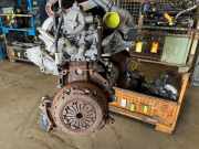 Motor G8T752 Renault Laguna I (B56) Schrägheck 5-drs 2.2 D RN,RT 12V (G8T-706) 1996-10