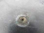 Kühlerventilatormotor 7701068310 Renault Clio III (BR/CR) Schrägheck 1.6 16V (K4M-800) 2006-10