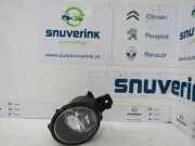 Nebelscheinwerfer Links Vorne 8200002469 Renault Master III (MA/MB/MC/MD/MH/MF/MG/MH) Van 2.3 dCi 16V (M9T-B6) 2011-04