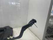 Tank 172021362R Dacia Duster (SR) SUV 1.3 TCE 130 16V (H5H-480(H5H-E4)) 2020-02