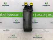 Ladeluftkühler 0384N7 Citroën C3 (SC) Schrägheck 5-drs 1.6 HDi 16V 92 (DV6DTED/EU5(9HP)) 2013-01