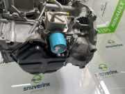 Motor 101024714R Renault Talisman (RFDL) Limousine 1.6 Energy TCe 200 EDC (M5M-450(M5M-B4)) 2016-02