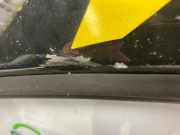 Tür Links Vorne 801015916R Renault Kangoo Express (RF..) Van E-Tech 44 kWh (5AQ-609) 2023-12