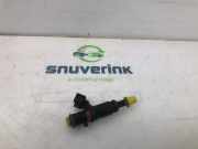 Kraftstoff-Injector 166009685R Renault Twingo III (AH) Schrägheck 5-drs 1.0 SCe 70 12V (A0001E2J1.0 SCe 70 12V) 2016-09