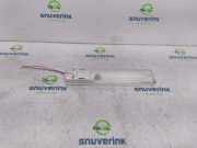 Innenbeleuchtung Hinten 020620 Renault Trafic New (FL) Van 2.0 dCi 16V 90 (M9R-780) 2009-10